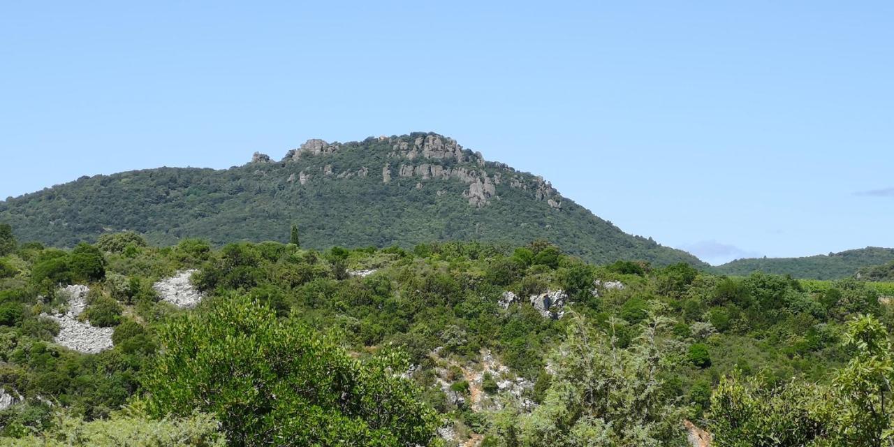 Le Mimosa Bed & Breakfast Saint-Saturnin-de-Lucian Exterior foto
