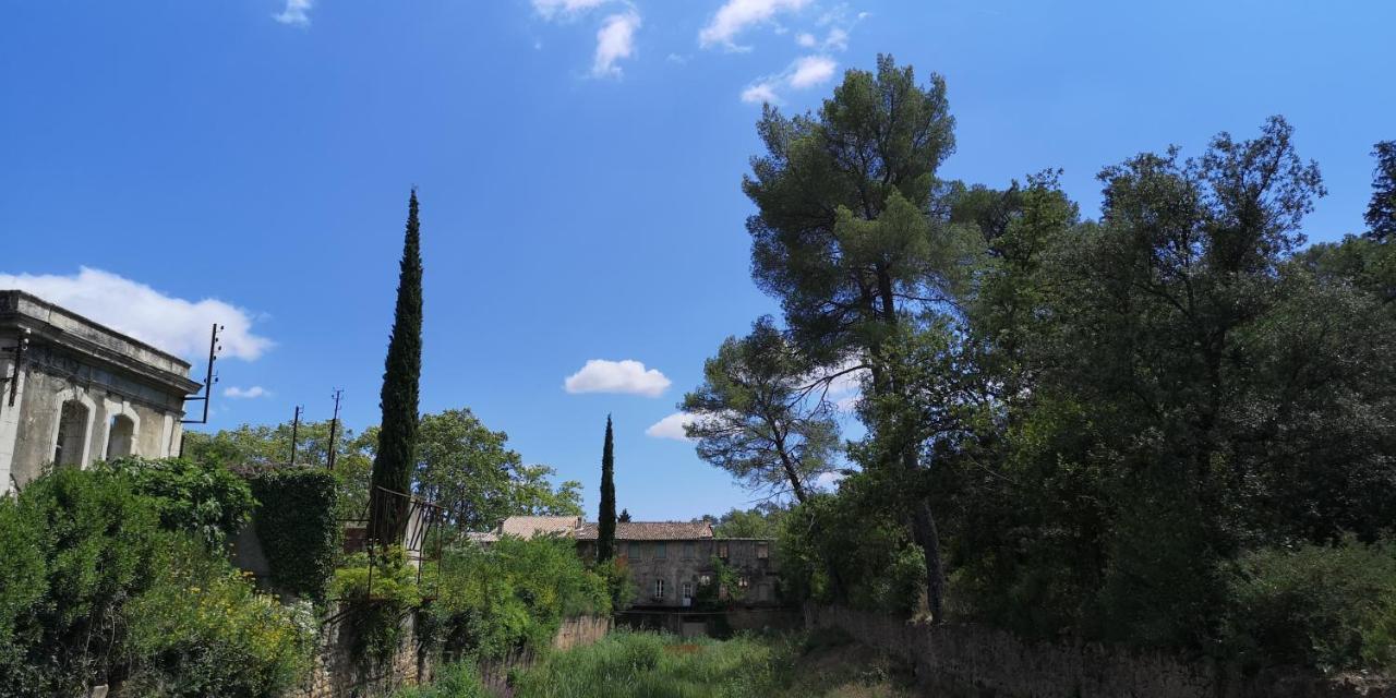 Le Mimosa Bed & Breakfast Saint-Saturnin-de-Lucian Exterior foto