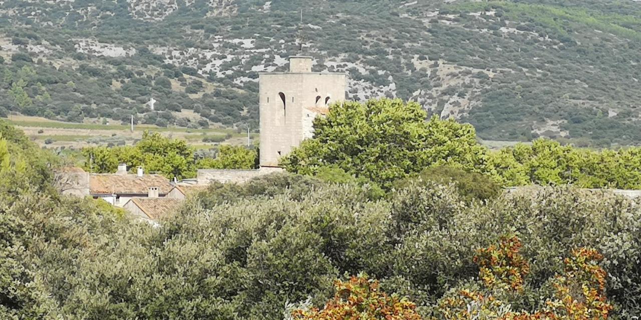 Le Mimosa Bed & Breakfast Saint-Saturnin-de-Lucian Exterior foto