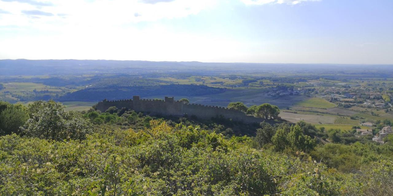 Le Mimosa Bed & Breakfast Saint-Saturnin-de-Lucian Exterior foto