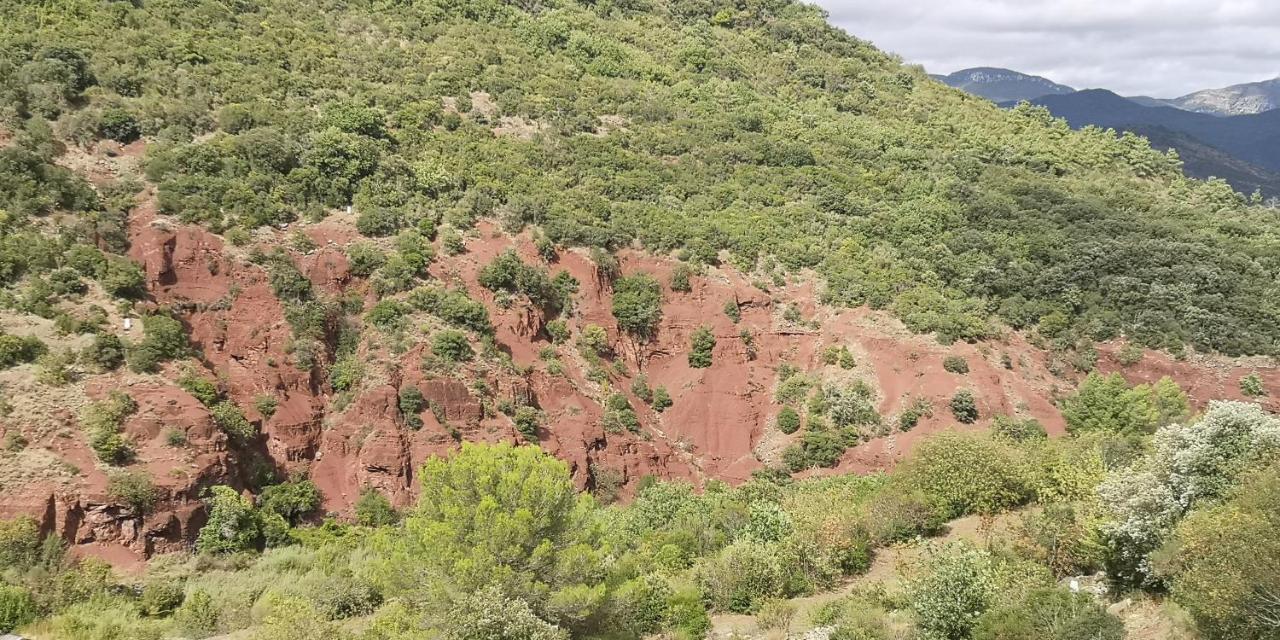 Le Mimosa Bed & Breakfast Saint-Saturnin-de-Lucian Exterior foto