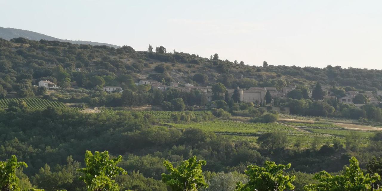 Le Mimosa Bed & Breakfast Saint-Saturnin-de-Lucian Exterior foto