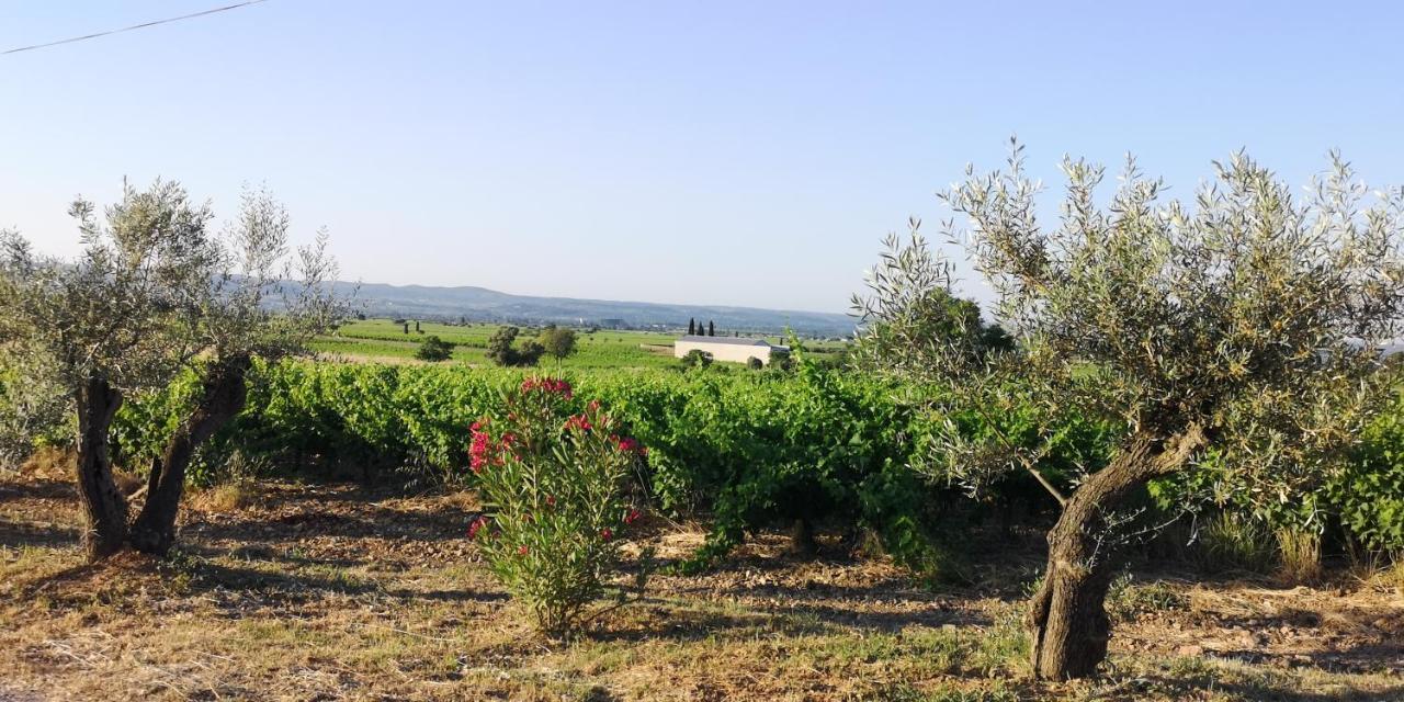 Le Mimosa Bed & Breakfast Saint-Saturnin-de-Lucian Exterior foto