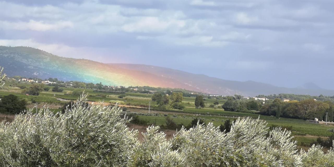 Le Mimosa Bed & Breakfast Saint-Saturnin-de-Lucian Exterior foto