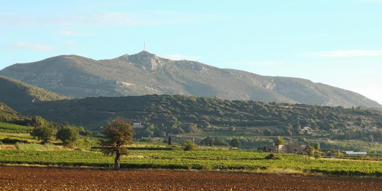 Le Mimosa Bed & Breakfast Saint-Saturnin-de-Lucian Exterior foto