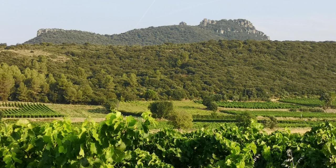 Le Mimosa Bed & Breakfast Saint-Saturnin-de-Lucian Exterior foto