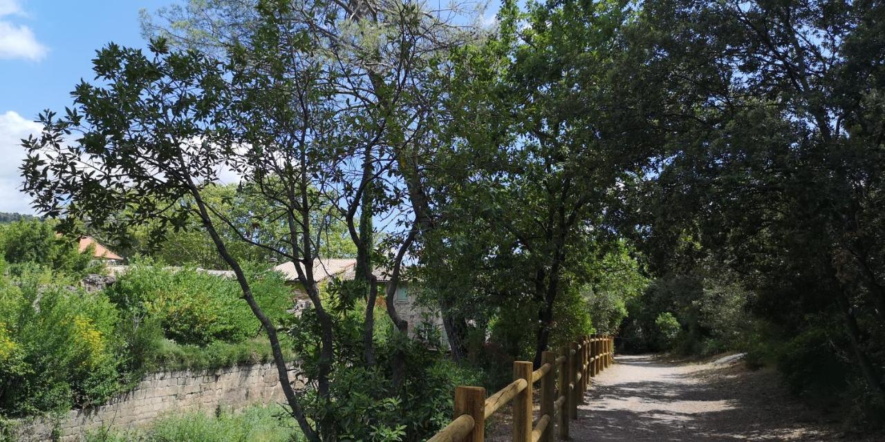 Le Mimosa Bed & Breakfast Saint-Saturnin-de-Lucian Exterior foto