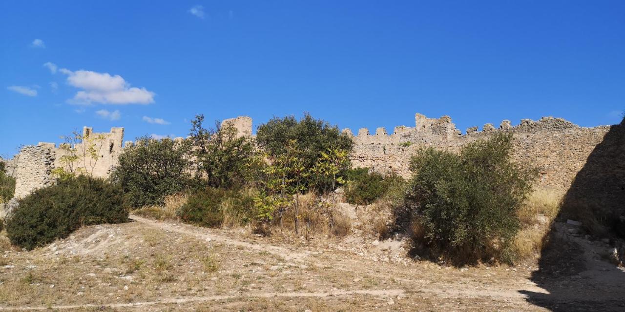 Le Mimosa Bed & Breakfast Saint-Saturnin-de-Lucian Exterior foto