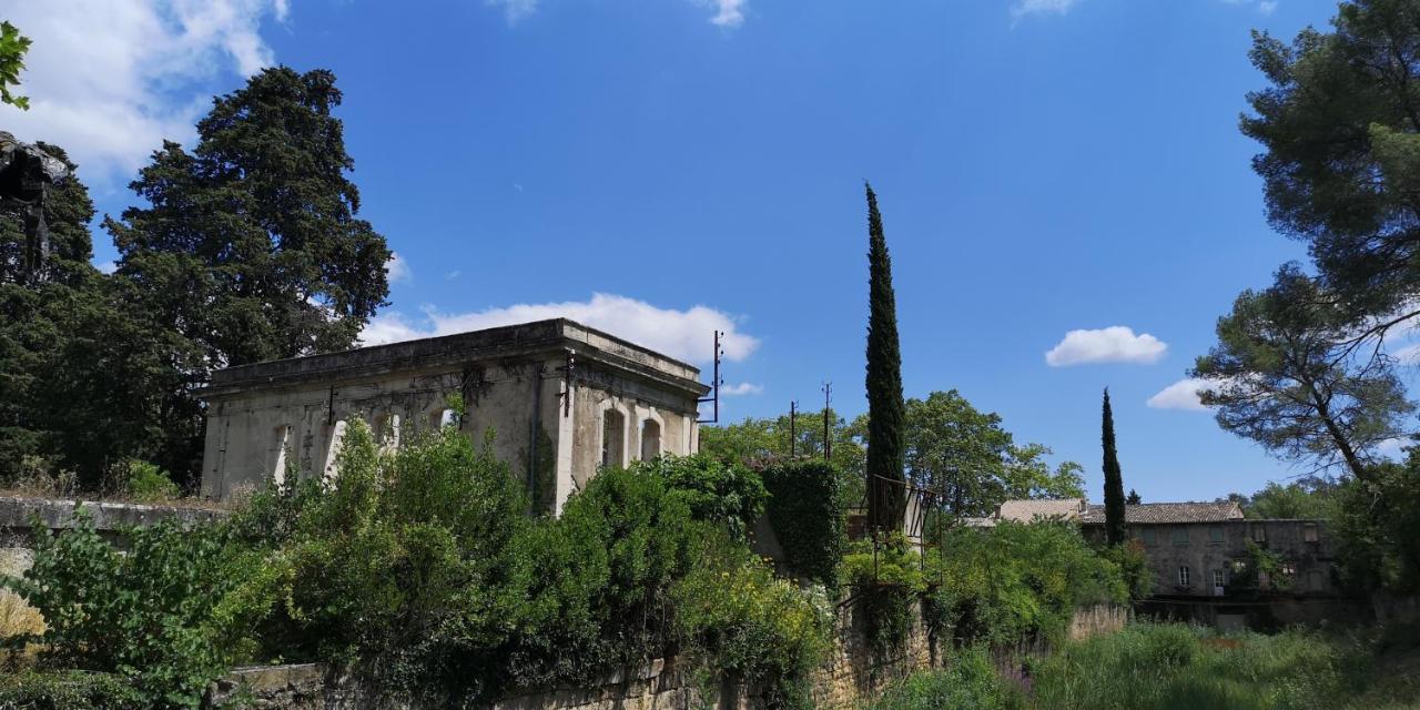 Le Mimosa Bed & Breakfast Saint-Saturnin-de-Lucian Exterior foto